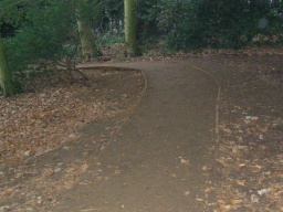 Image on trail